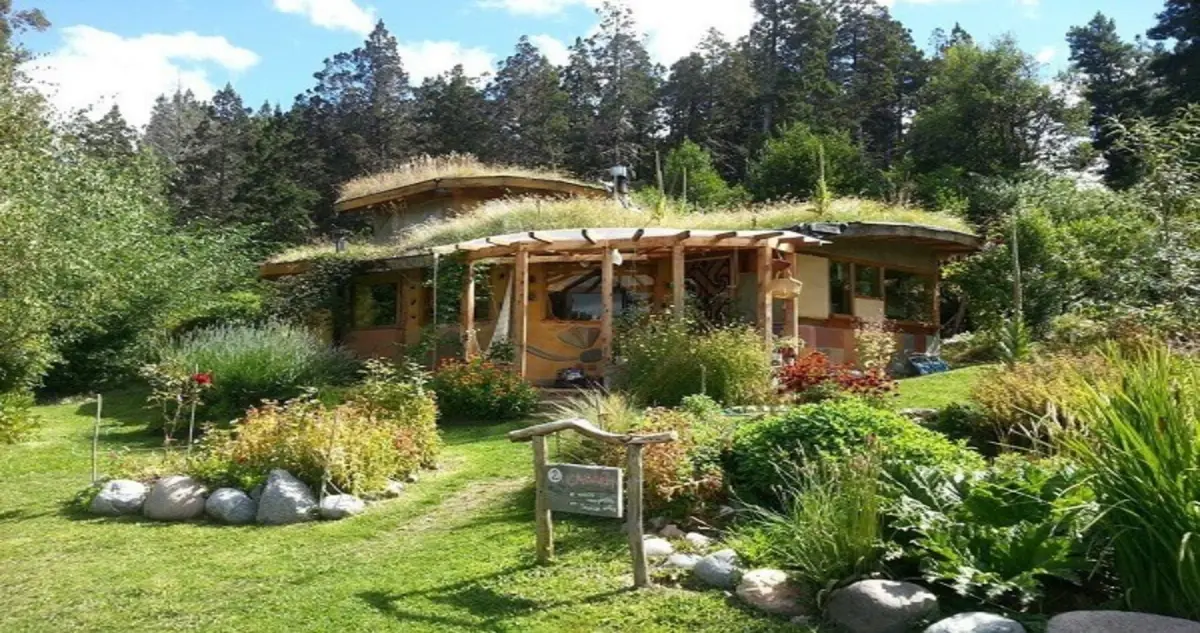 Casa ecológica com arquitetura sustentável cercada de vegetação natural
