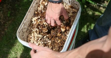 Como fazer compostagem doméstica