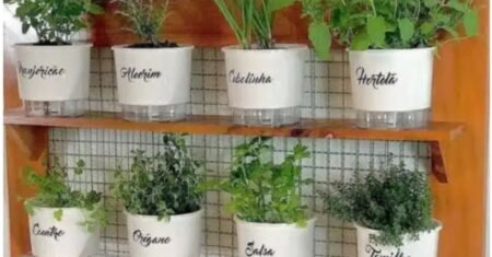 Horta urbana em apartamento