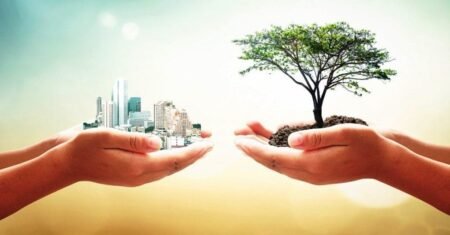 Sustentabilidade: Como Pequenas Ações Podem Mudar Sua Vida