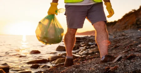 Poluição ambiental